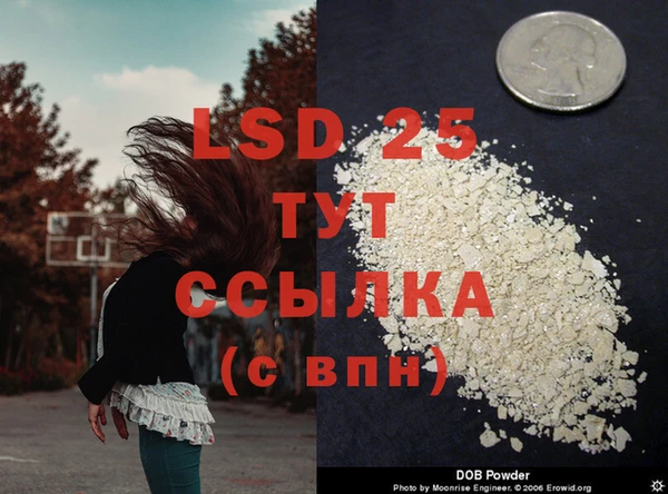 дживик Наволоки