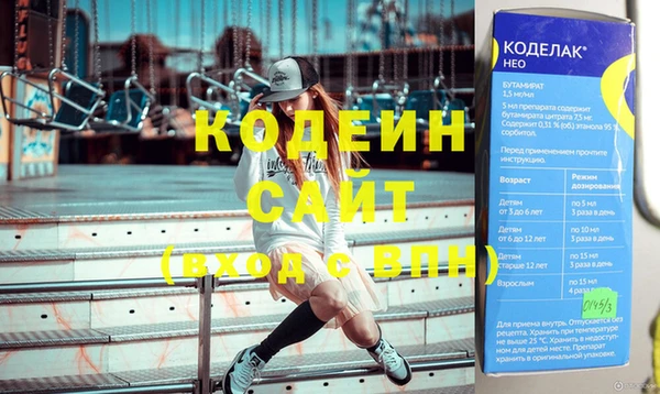 шишки Надым