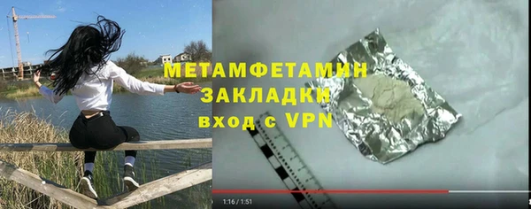 шишки Надым