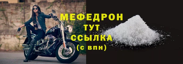 шишки Надым