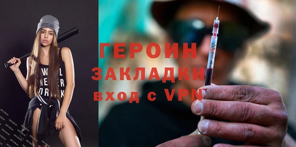 шишки Надым