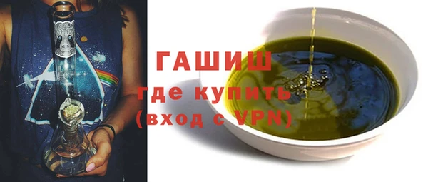 шишки Надым