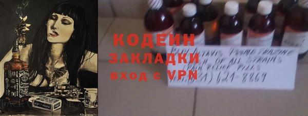 шишки Надым
