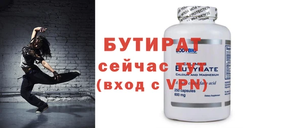 шишки Надым