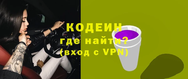 шишки Надым