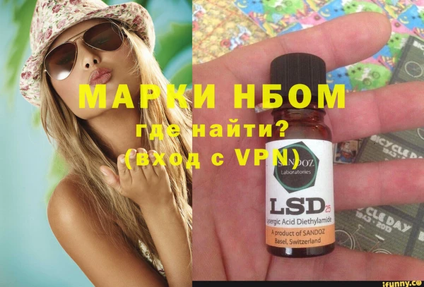шишки Надым
