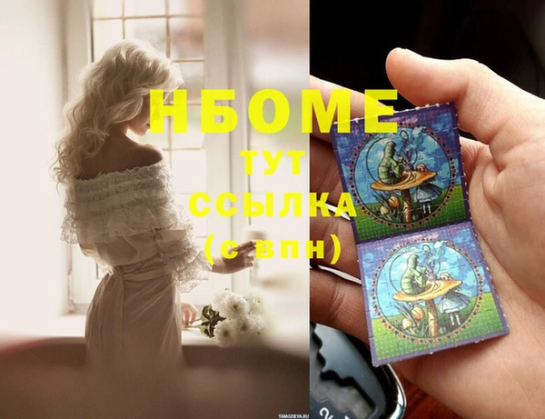гидра Новоузенск