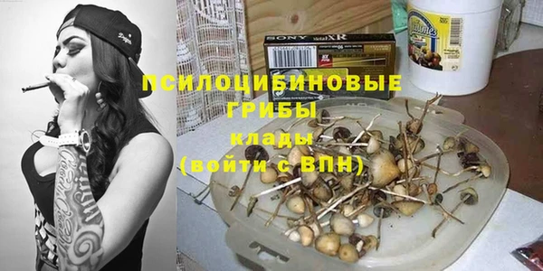 дживик Наволоки