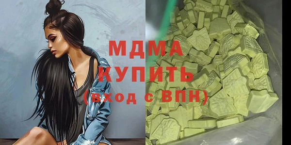 шишки Надым