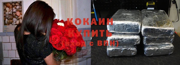 шишки Надым