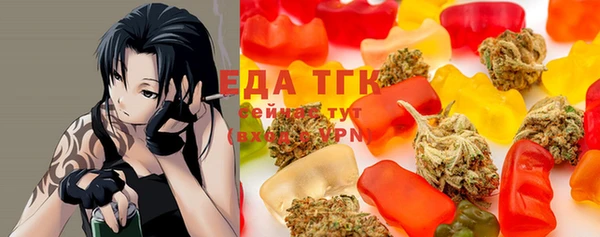 шишки Надым